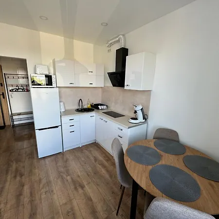 Apartmentsbymatyrafa-vii 公寓 Tarnowskie Góry