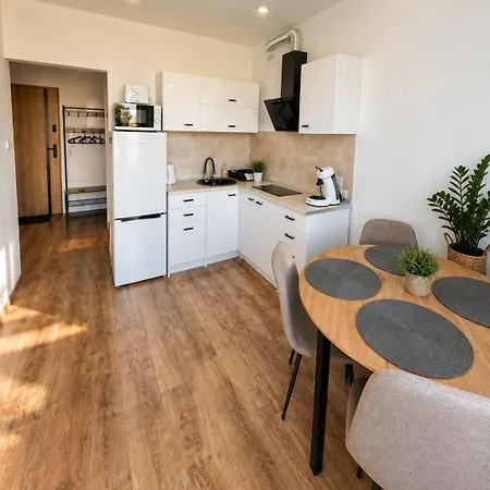 Apartmán Apartmentsbymatyrafa-vii Tarnowskie Góry