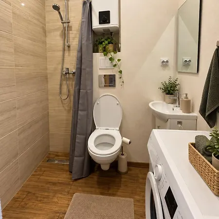 Apartmentsbymatyrafa-vii * Tarnowskie Góry